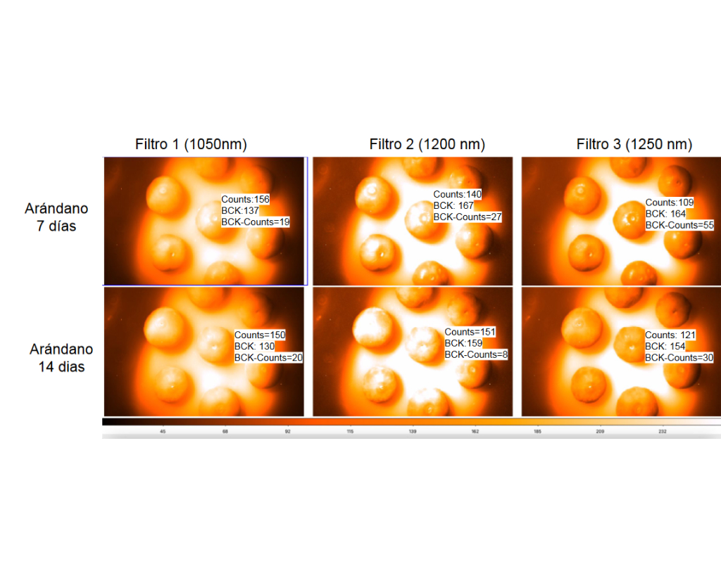 filtro para ver nivel de madurez en cosecha